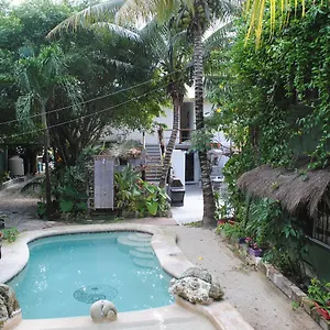 Lobo Inn Tulum Hostal Tulum